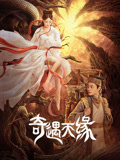 奇遇天缘海报