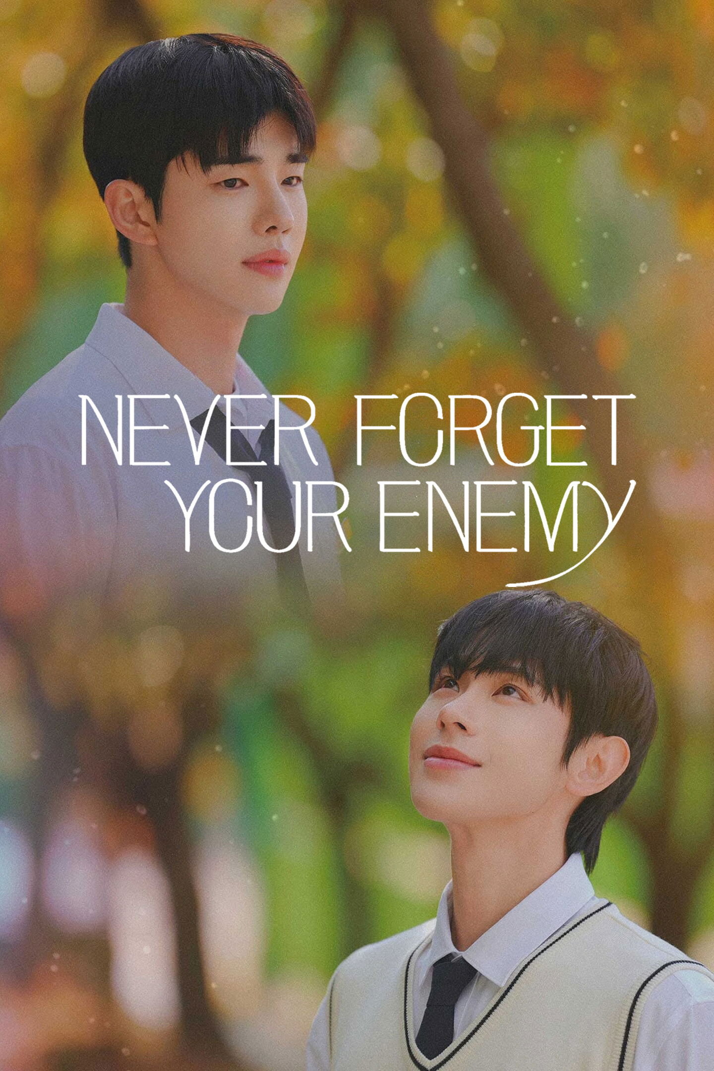 Never Forget Your Enemy海报